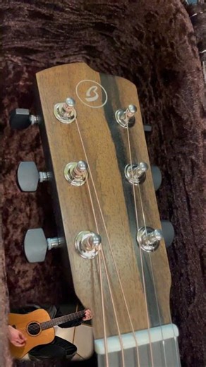 2026 Breedlove Roots Rosewood Dreadnought