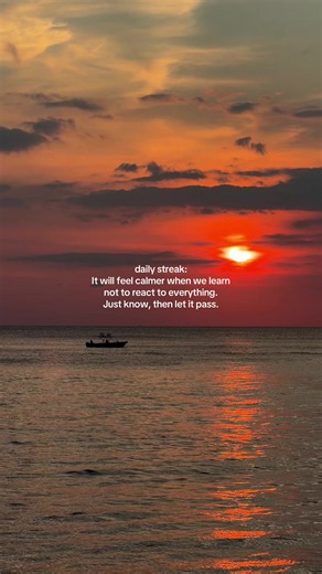 Daily Streak: Calmness Through Non-Reaction