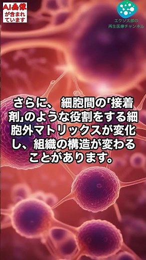【日米医学研究者/医師監修】老化とは何か。細胞レベルから徹底解説。＃老化防止、 ＃老化しない方法、＃老化予防、＃アンチエイジング 筋肉 ＃アンチエイジング 男 ＃アンチエイジング、#shorts