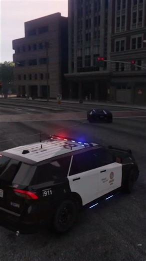 GTA V LSPDFR REALISTIC POLICE PATROL #25