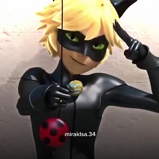 Cat Man Compilation: Black Cat and Ladybug Entertaining Videos