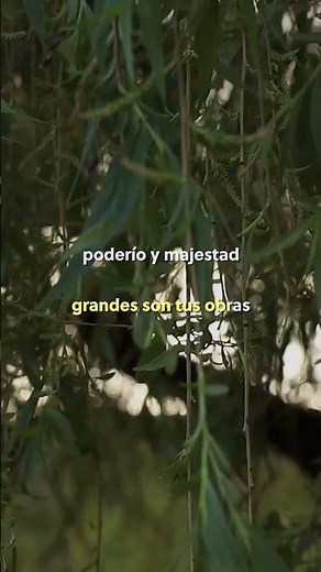 Grandes son tus obras, podería y majestad... #jesusadrianromero #karaokecristiano