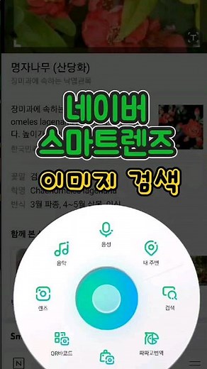 네이버 스마트렌즈로 식물이름 실시간 검색하기