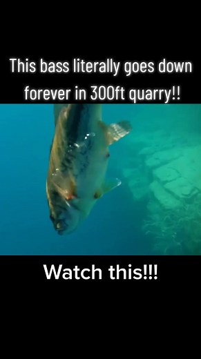 Exploring the Depths: Bass Fishing in a 300ft Quarry!