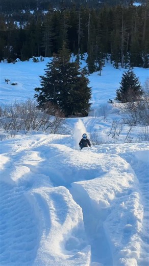 Rhett Peterson on Instagram: "This thing RIPS in this springy snow! Im feeling more technical on this thing everyday #Snowmobile #skidoo @drinkhydropower"