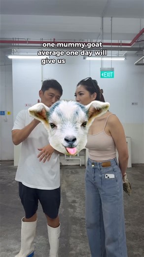 Char | We got to observe the milking process at @haydairies Hay Dairies and document what really happens — step by step 🐐🥛 From preparing the... | Instagram