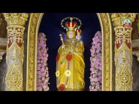 🔴 Live - 04 August 2024 @ Vailankanni Shrine Basilica