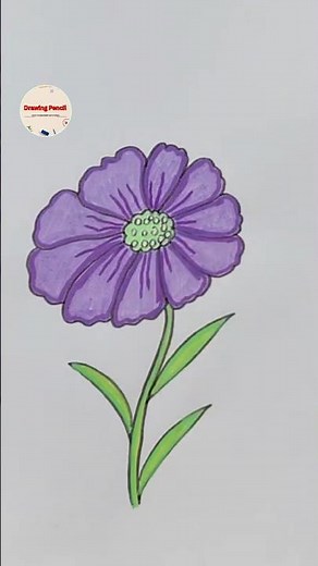 Easy Flower Drawing with Colored Pencils