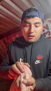 Tutorial completo de cómo castrar lechones!!! | Granja MT