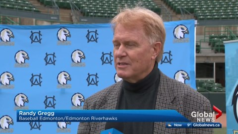 Meet the new Edmonton Riverhawks Baseball Club