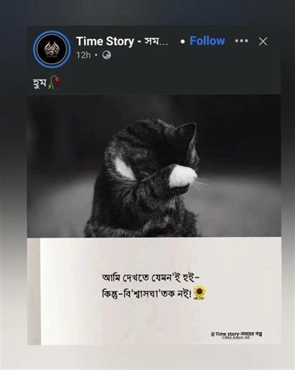 Really #foryou #veidography #fypシ #shortvideos #trending #viralvideos #love #really