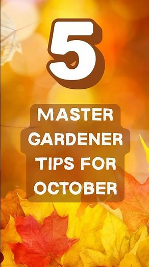 Master Gardener Tips for October 🍂 What to Do in the Fall Garden