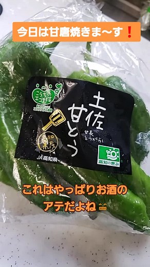 甘唐辛子の焼き浸しレシピ｜おうちで簡単に作れる夏のおつまみ