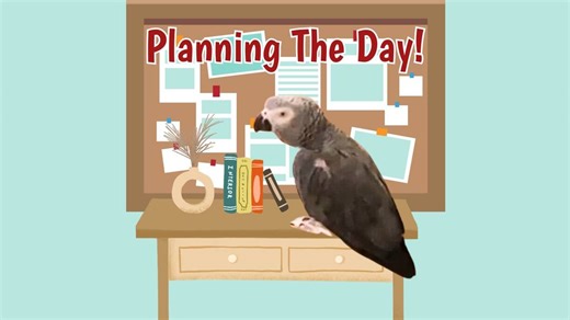 Join Einstein the Parrot as he plans out his day filled with excitement and tasty treats! From playful interactions with Marcia to enjoying delicious fruits like mangoes and apples, Einstein's day is full of fun and adventure. Watch as he eagerly anticipates walks, snacks, and spending time with his favorite humans. | Einstein the Talking Texan Parrot