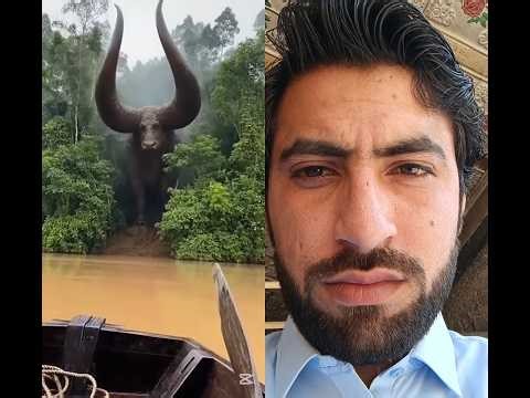 Amazing Animal Transformation 🐶➡️🦁 | Unbelievable Change 😱 #shorts