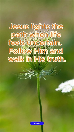The Light of Life #walkinspiritoftheholyspirit #holyspirittv #devotional #prayer #bibleverse