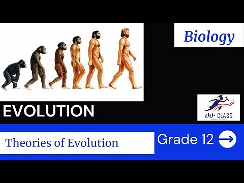 Ethiopia Grade 12 biology Evolution (theories Of Evolution)