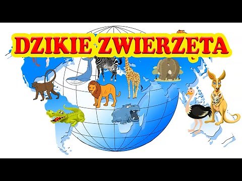 🦁 Zwierzęta dzikie \\ Film edukacyjny dla dzieci \\ Odgłosy zwierząt Afryki