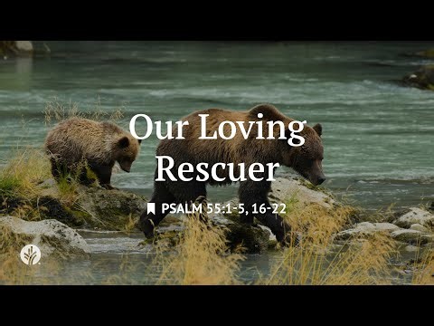 Our Loving Rescuer | Audio Reading | Our Daily Bread Devotional | December 27, 2025
