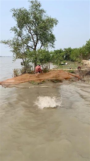 What fish did you catch with the gill net? #realfish #CastNetFishing #reels #viral #fish #bigfish