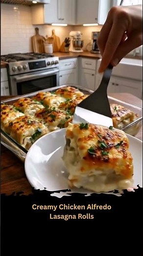 Creamy Chicken Alfredo Lasagna Rolls