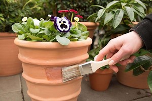 Slug Deterring and Repelling Paint 'Schnexagon' | Field Test