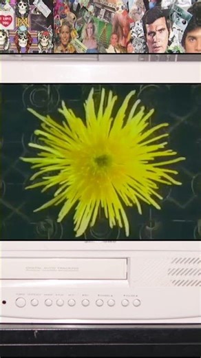 #90s Nintendo Game Boy Play It loud Colors Commercial #retro #weird