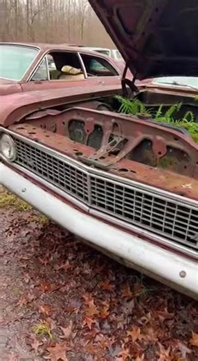 Every old car has a story to tell 📖🚘