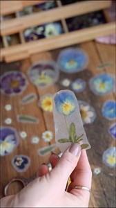 335K views · 9.2K reactions | Biodegradable Pressed Flower Stickers...