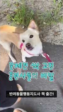 🐶 딩고코리아 전문가들이 직접 만들었다! 📘이기적 반려동물행동지도사 교재