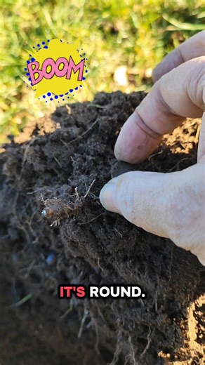 I Was Wishing For This Find #metaldetecting #subscribe #shorts #treasure #lostandfound