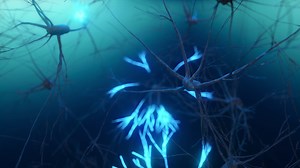 Animation Of Activity Of Neurons Synapses Stock Motion Graphics SBV-348363863 - Storyblocks