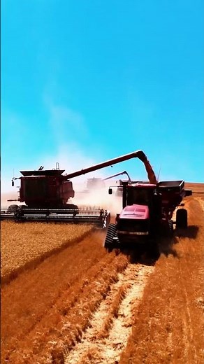 Palouse Hillside harvest