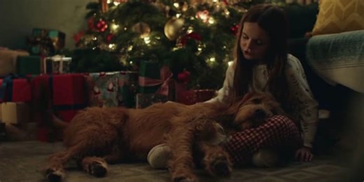 Dogs Trust unveils festive campaign celebrating the bond between dogs and people