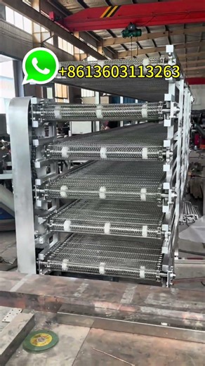Custom Multi layer Chain Mesh Belt Conveyor for German Client | Industrial Food & Material Handling