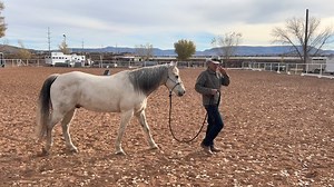 Back Up Instructional "Live" training. DL