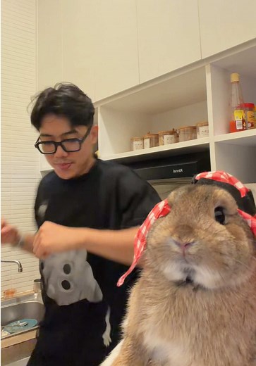 makasih ya ayahhh. uda kasih tau gerakannya. #bunny | bunny