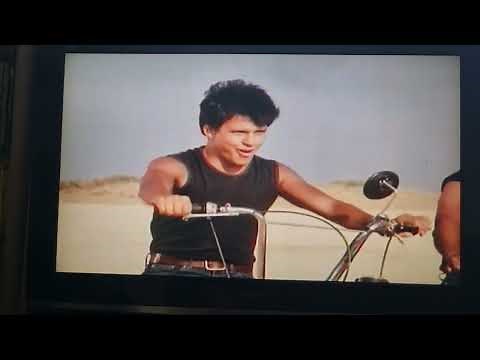 Baby Love ( Lemon Popsicle 5 )