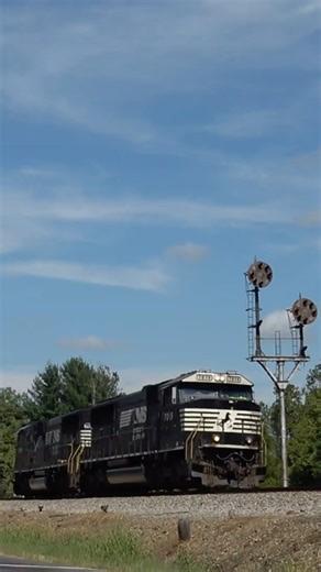 NS V81 Passes the CPLs at Ellis Run #norfolksouthern #train #railroad #railway #shorts