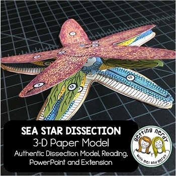 Sea Star | Starfish Dissection Zoology | Biology 3-D Paper Dissection Model