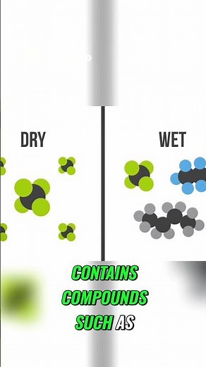 Dry vs. Wet Natural Gas: Key Differences Explained