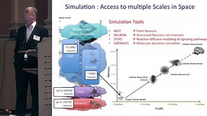 Karlheinz Meier — Neuromorphic Computing — Extreme Approaches to weak and strong scaling – Lifeboat News: The Blog