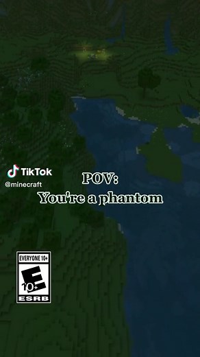 Maxwell the Carryable Cat Takes on Phantoms in Minecraft!