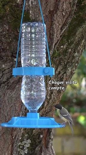 Abreuvoir pour oiseaux Cycléa