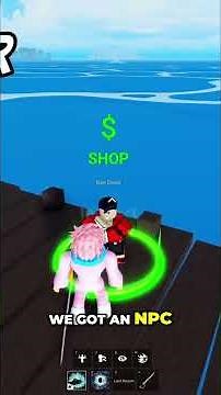 ROBLOX Blox Fruits NPC Guide #shorts