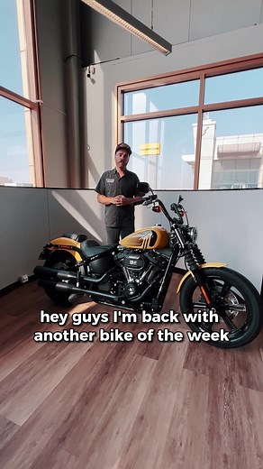 2023 Harley-Davidson Street Bob in Industrial Yellow