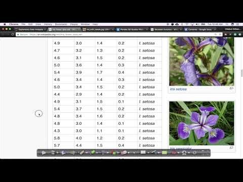 Introduction to IRIS dataset and 2D scatter plot
