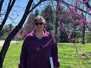 #21 Adopt a Tree PLT Activity