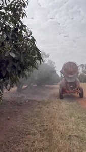 Control de plagas en aguacate mediante pulverizadora de 1000 litros, en este caso se está aplicando para el control de Ácaro rojo 🚜🥑🕷️ | AgroTech