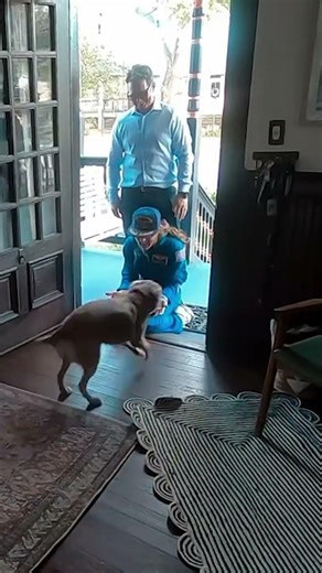 Artemis II astronaut Christina Koch reunites with her dog in adorable video #shorts